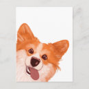 Search for cute corgi postcards Nature