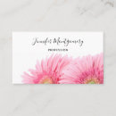 Search for gerberas photography Daisy