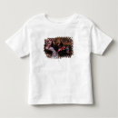 Search for entertaining tshirts Fan