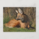 Search for manelis postcards Nature