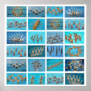 Search for swimming pool posters Swim team