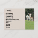 Search for deer business cards White