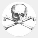 Search for anatomy skeleton stickers Skull