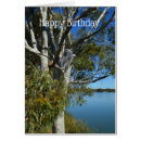Search for murray cards River
