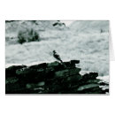 Search for chaco National