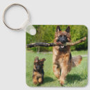 Search for german shepherds key rings Puppies
