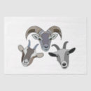 Search for goat tissue paper Illustration