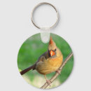 Search for female cardinal key rings Wildlife
