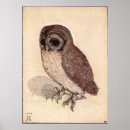 Search for owl drawing art Birds