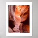 Search for antelopes posters Landscape