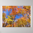 Search for beautiful view art Leaves