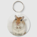 Search for gerbil key rings Rodent