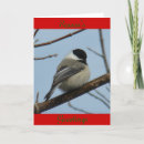 Search for chickadees cards Wildlife photography