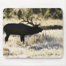 Search for madison electronics Nature