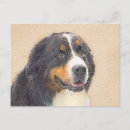 Search for mountain dog postcards Cute
