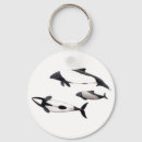 Search for cetaceans key rings Dolphin