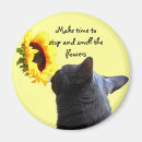 Search for smells magnets Cute