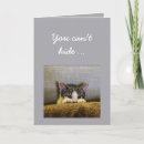 Search for funny cat 50th birthday cards Fifty