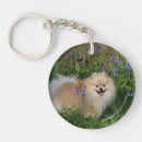 Search for pomeranian dog key rings Flowers