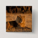 Search for peak badges Lion
