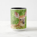 Search for deer portrait mugs Nature