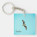 Search for ospreys key rings Sky