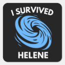 Search for hurricane stickers Storm