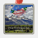 Search for grand christmas tree decorations United states