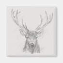 Search for sketches magnets Western