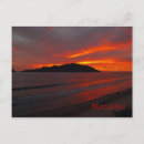 Search for blazing postcards Red