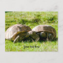 Search for nature lover birthday cards Cute