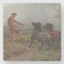 Search for pony coasters Equestrian