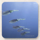 Search for teamwork coasters Togetherness