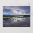 Search for venezuela postcards River