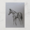 Search for colt postcards White