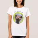 Search for ostrich tshirts Bird