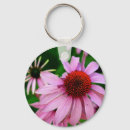 Search for echinacea Herb