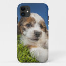 Search for content iphone cases Pets