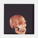 Search for homo magnets Hominid