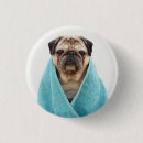 Search for pugs badges Funny