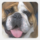 Search for belgium travel stickers Belgian