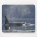 Search for orca mousepads Wildlife