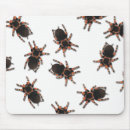 Search for tarantulas electronics Insect