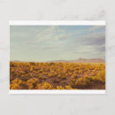 Search for for cooks postcards Landscape