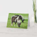 Search for cindy cards Horse