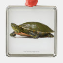 Search for digital christmas tree decorations Reptile