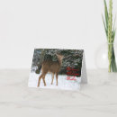 Search for warmest wishes christmas cards Pine