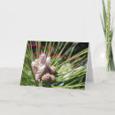 Search for cone christmas cards Winter