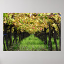 Search for mendoza posters Outdoors