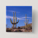 Search for arizona desert badges Nature